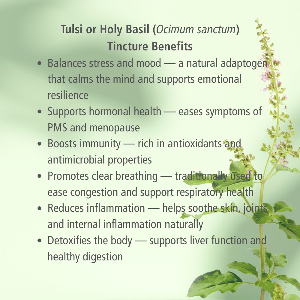 Tulsi Herbal Tincture
