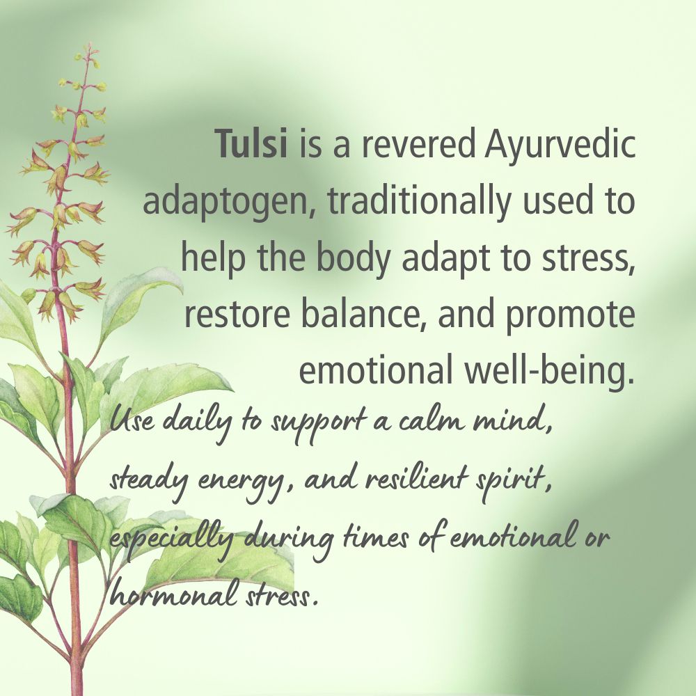 Tulsi Herbal Tincture